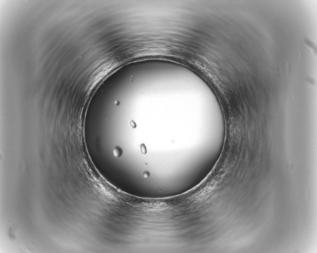 X0000093761129200710301139