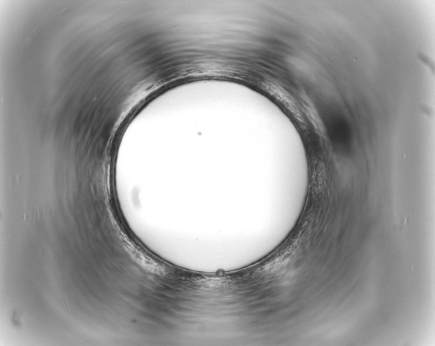 X0000093761130200710301139