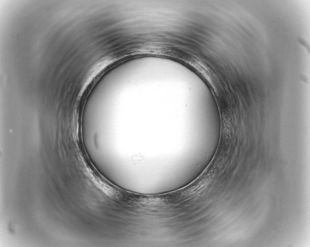 X0000093761131200710301139