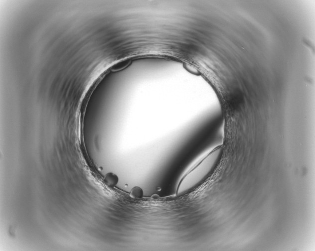 X0000093761132200710301139