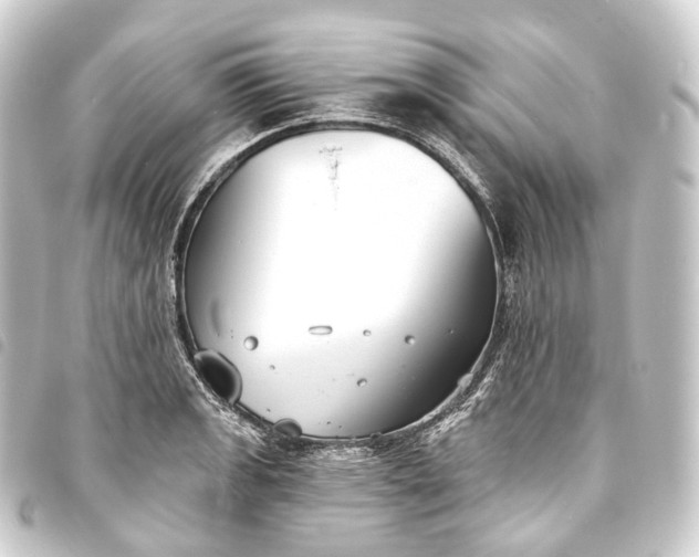 X0000093761133200710301139