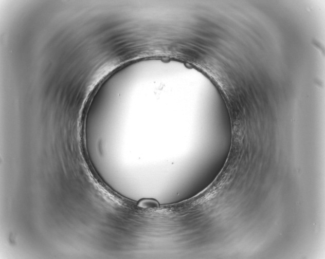 X0000093761135200710301139