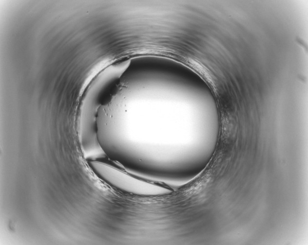 X0000093761138200710301139