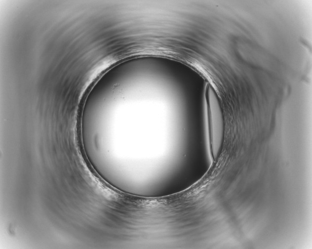 X0000093761139200710301139