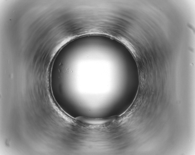 X0000093761142200710301139