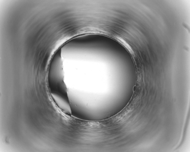 X0000093761144200710301139