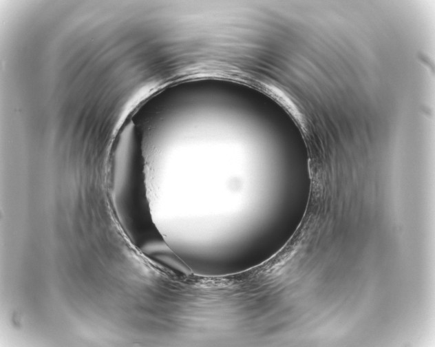 X0000093761146200710301139