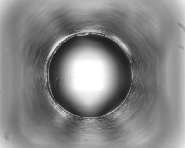 X0000093761148200710301139