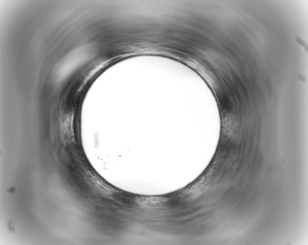 X0000093761150200710301140