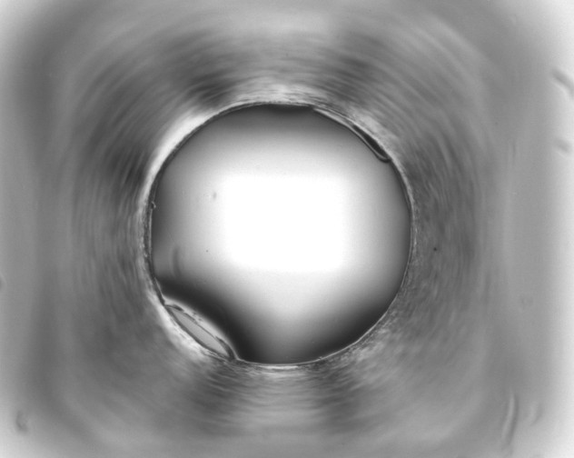 X0000093761152200710301140