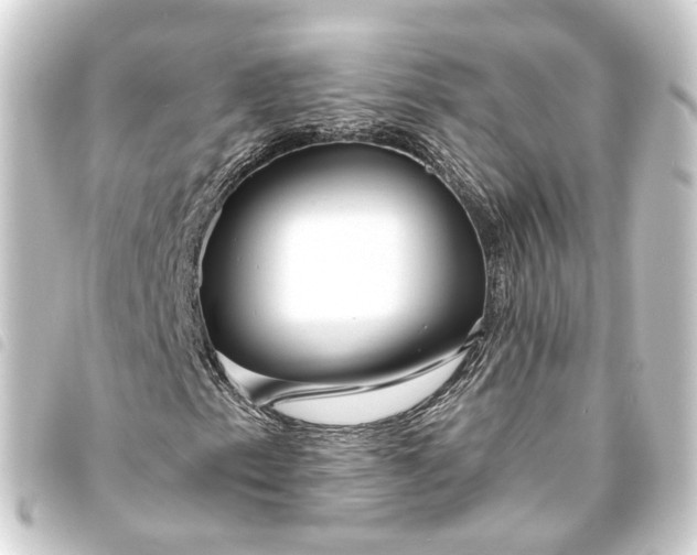 X0000093761153200710301139