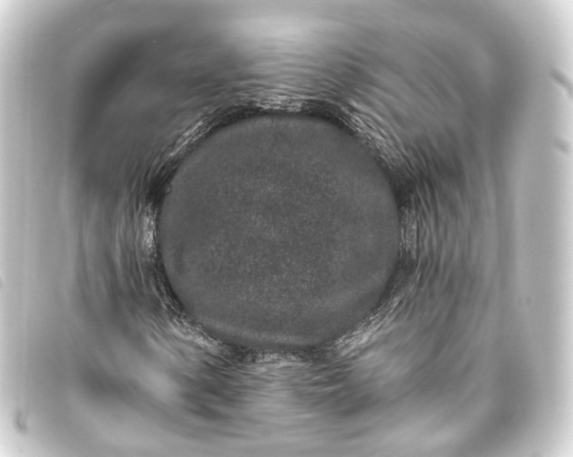 X0000093761154200710301139