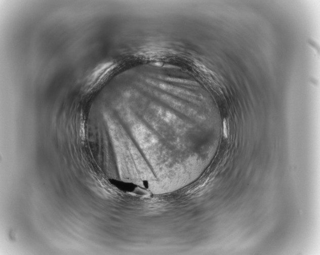 X0000093761155200710301139