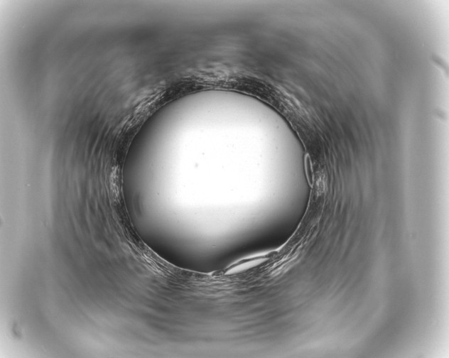 X0000093761156200710301139