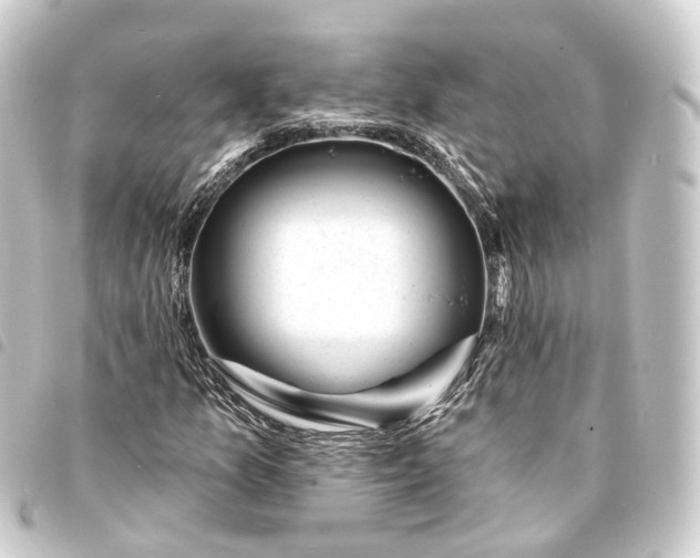 X0000093761157200710301139