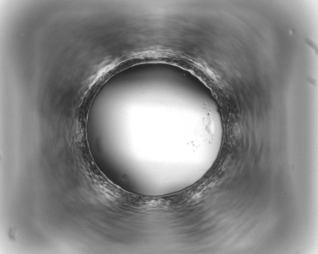 X0000093761160200710301139