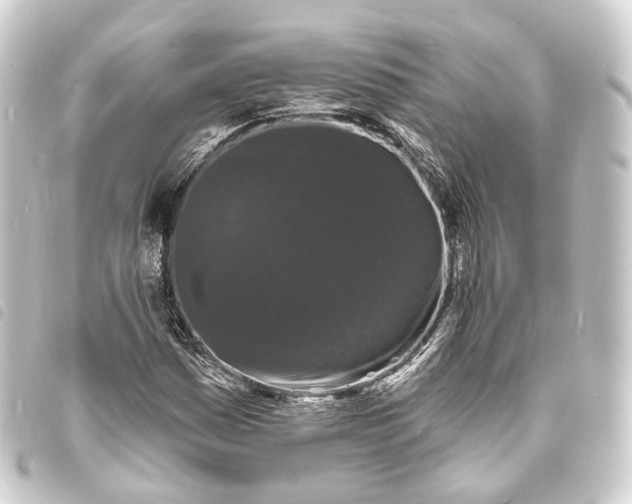 X0000093761161200710301139