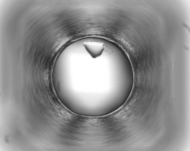 X0000093761162200710301139