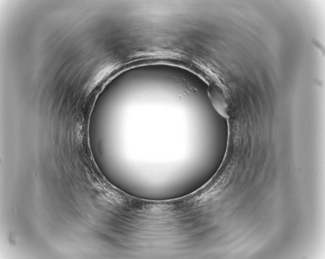 X0000093761163200710301139