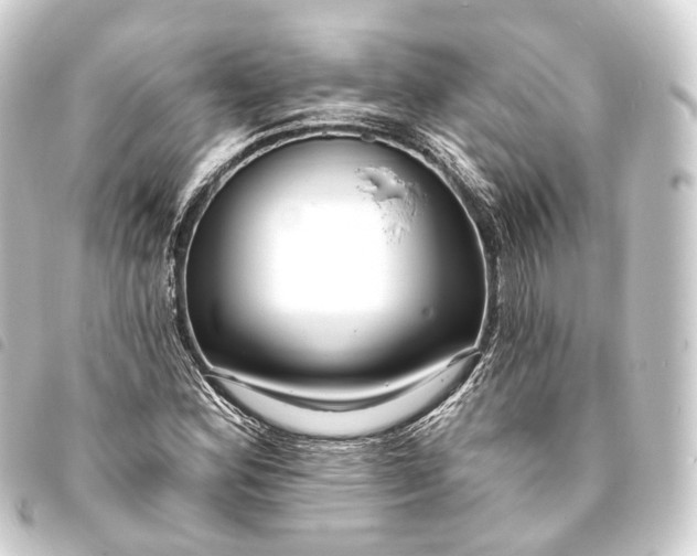 X0000093761164200710301138