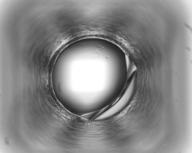 X0000093761165200710301138