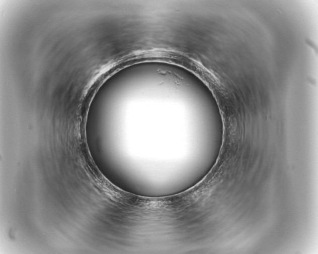 X0000093761166200710301138