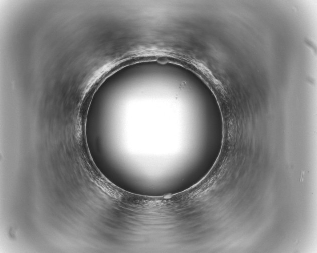 X0000093761167200710301138