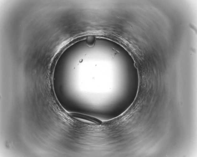 X0000093761168200710301138