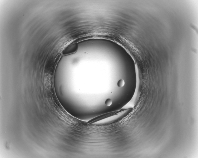 X0000093761169200710301138