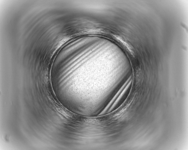 X0000093761170200710301138