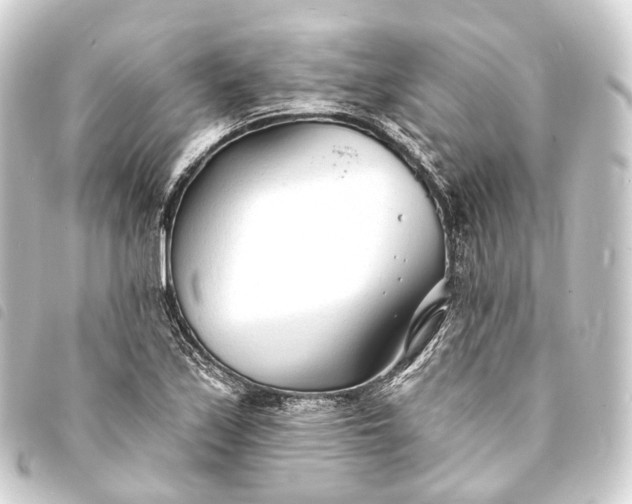 X0000093761171200710301138