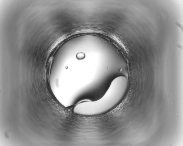 X0000093761173200710301138