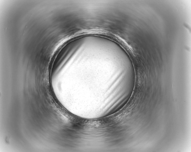 X0000093761174200710301138