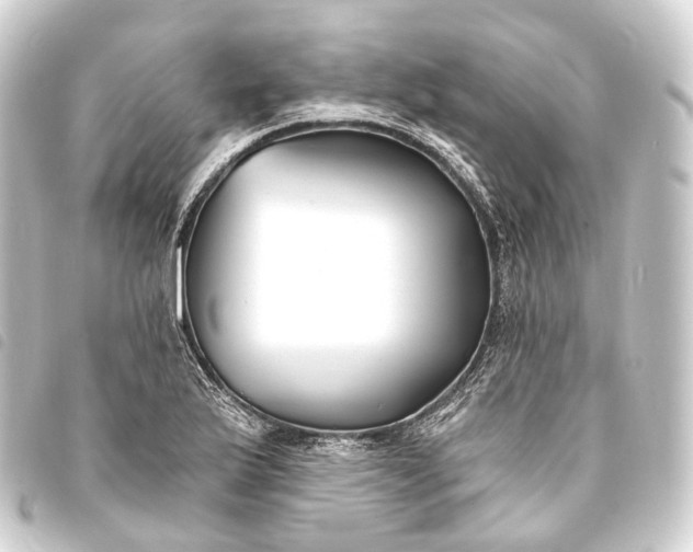 X0000093761175200710301138