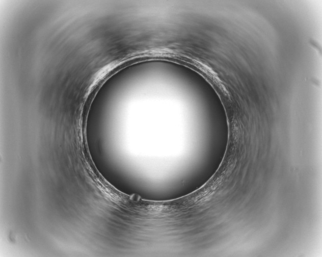 X0000093761176200710301138