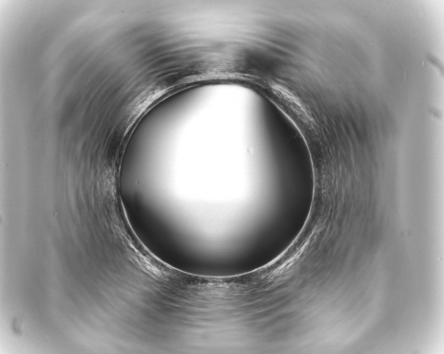 X0000093761177200710301138