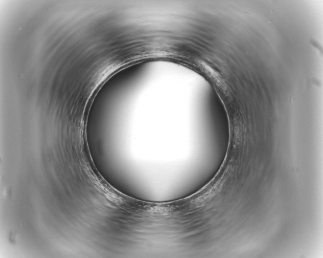 X0000093761178200710301138