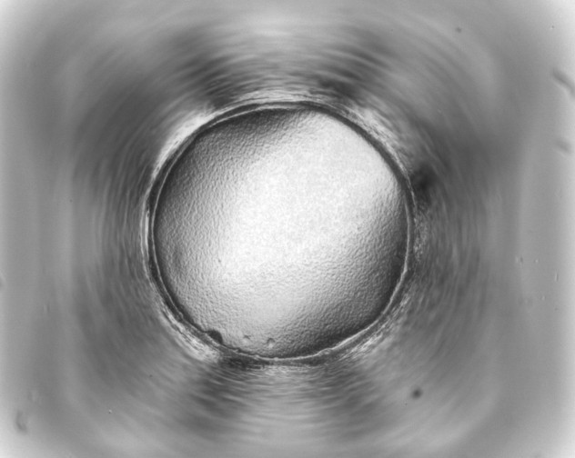 X0000093761179200710301138