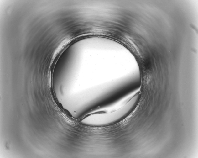 X0000093761180200710301138