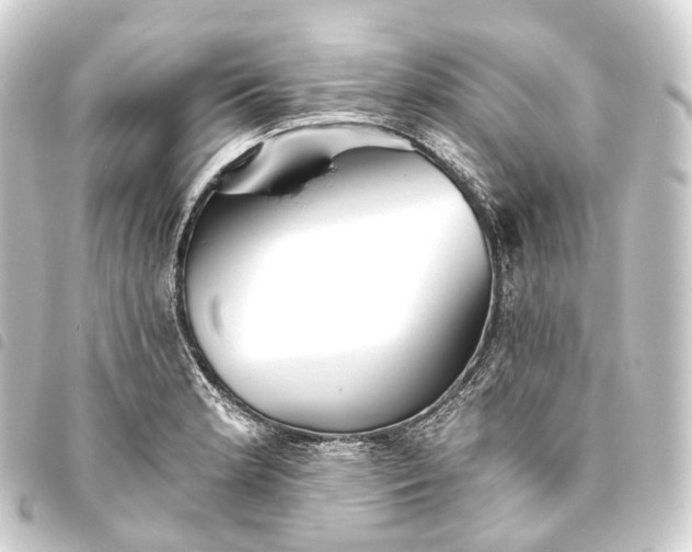 X0000093761181200710301138