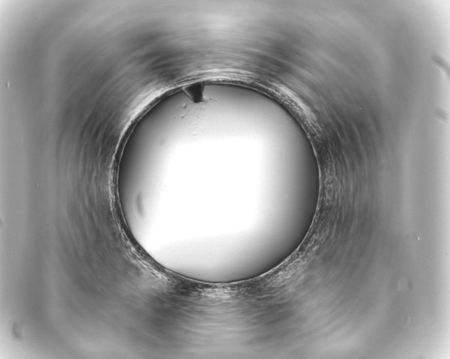 X0000093761182200710301138