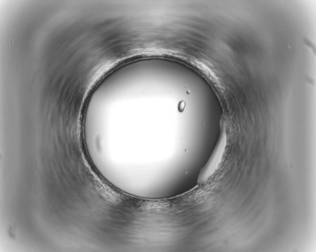 X0000093761183200710301138