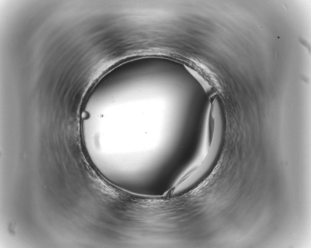 X0000093761184200710301138