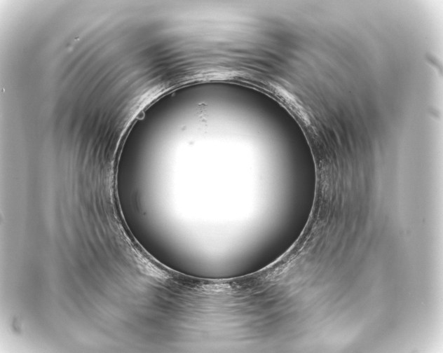 X0000093761186200710301138