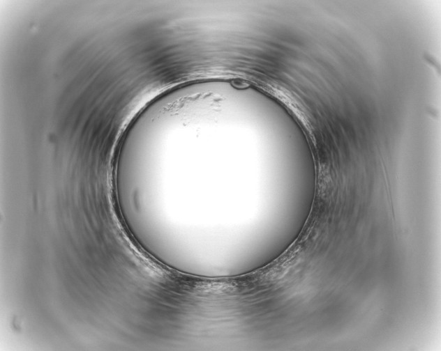 X0000093761187200710301138