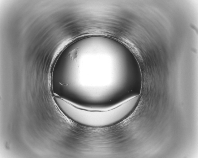 X0000093761188200710301138