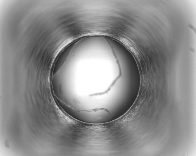 X0000093761189200710301138