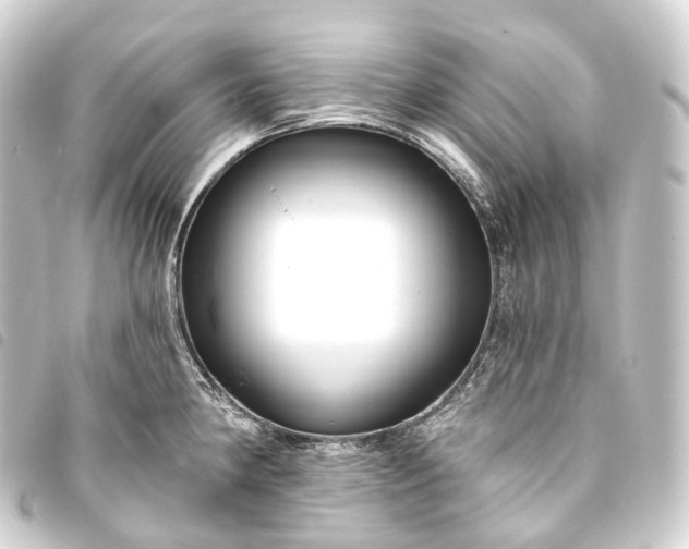 X0000093761190200710301138