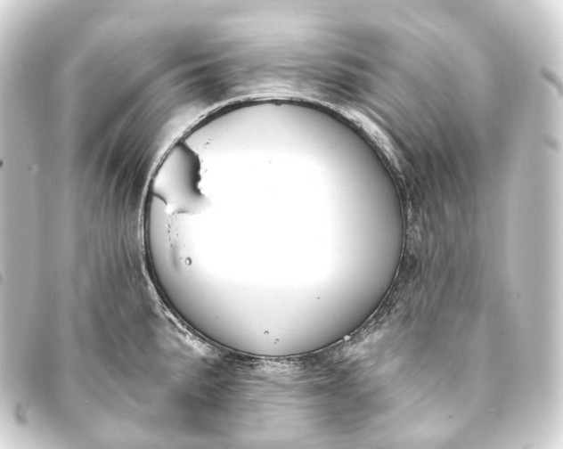 X0000093761191200710301138