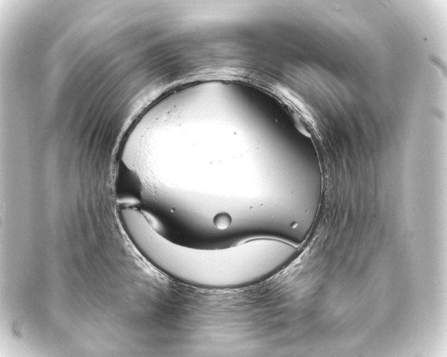 X0000093761192200710301138